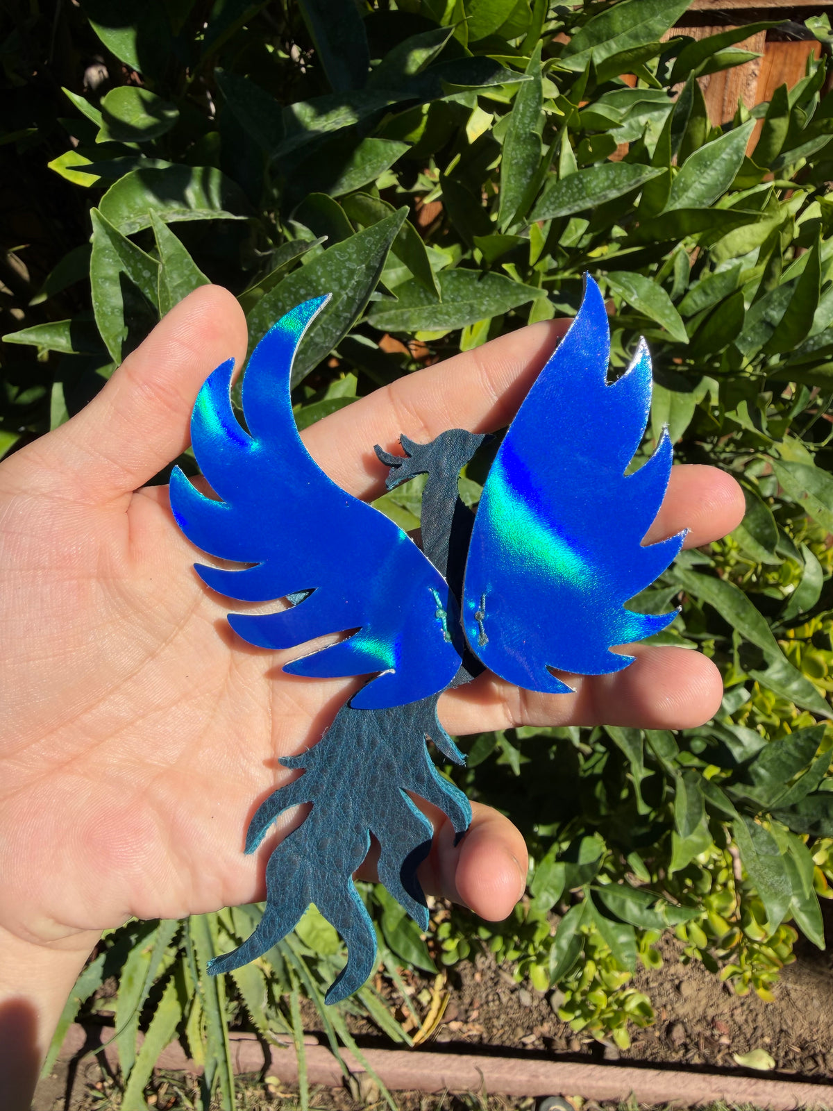 Blue Phoenix
